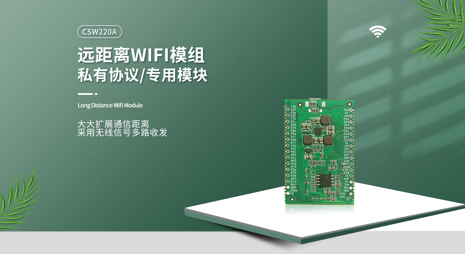 CSW220A模組_01.jpg